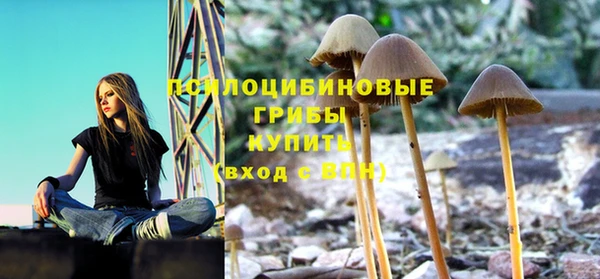 гашик Абаза