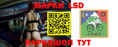 гашик Кимры