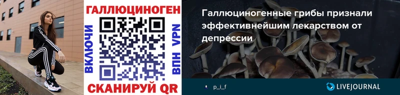 купить наркотик  Сухой Лог  МЕГА   Галлюциногенные грибы Psilocybine cubensis 